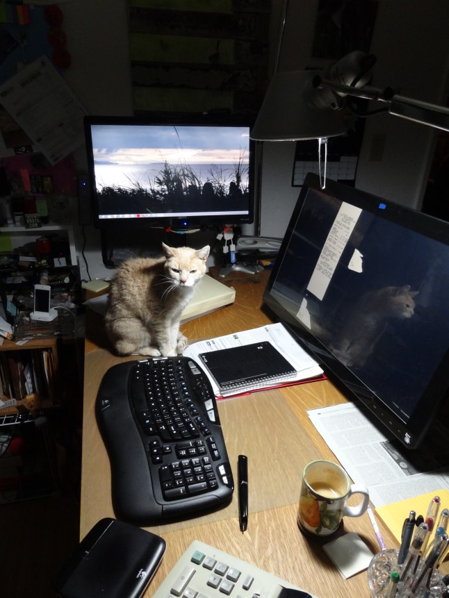 Gentielle likes the clean work desk 002