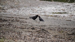 Aug 18 Sun 072_edited