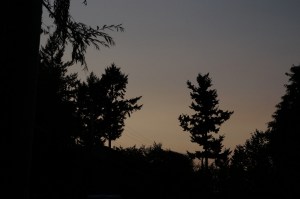 landscape portrate 072