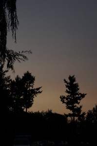 landscape portrate 073