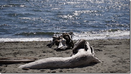 nex on best aug 2013 2992