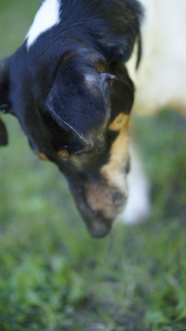 Of something interesting.