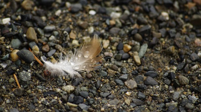 Weekly Photo challenge: Reflections