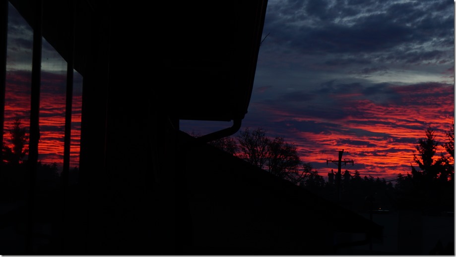 an interesting day 005