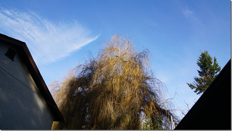 an interesting day 031