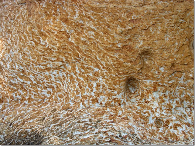 DSC0335a1