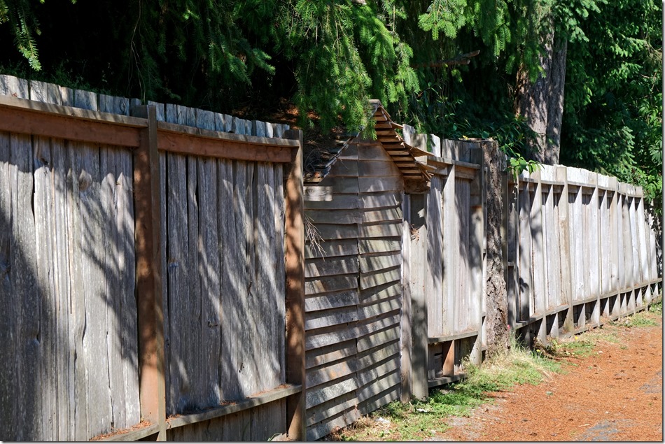 Weathered